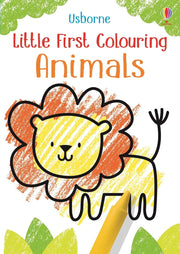 Usborne Little First Colouring Book (2 Titles)