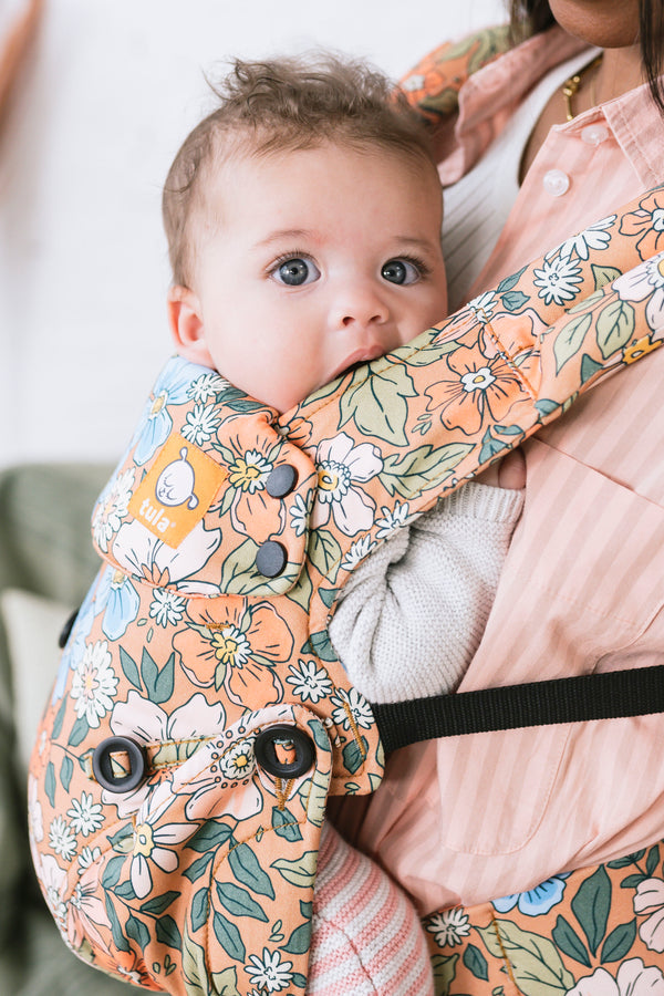 Tula Classic Explore Baby Carrier (15 Designs) - Pupsik Singapore