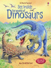Usborne Lift-The-Flap See Inside Book (9 Titles)