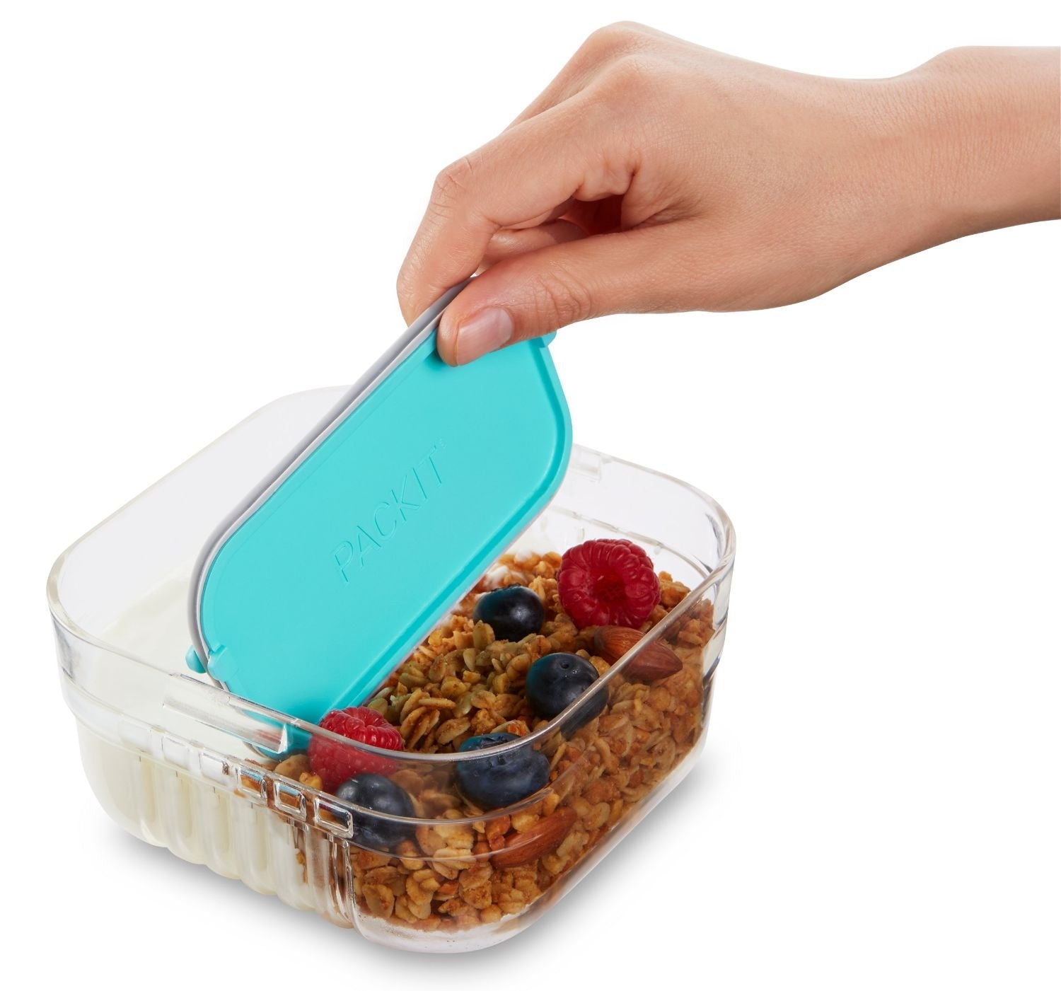 Packit Mod Bento Container Snack Box (2 Colours) - Pupsik Singapore