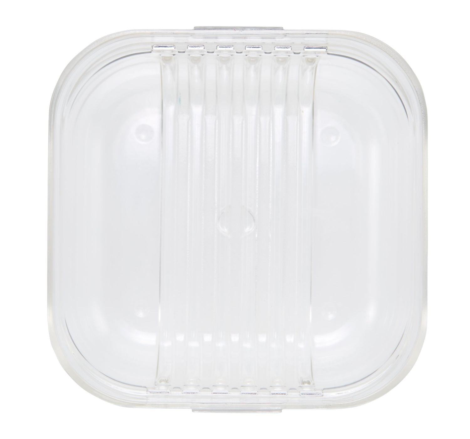 Packit Mod Bento Container Snack Box (2 Colours) - Pupsik Singapore