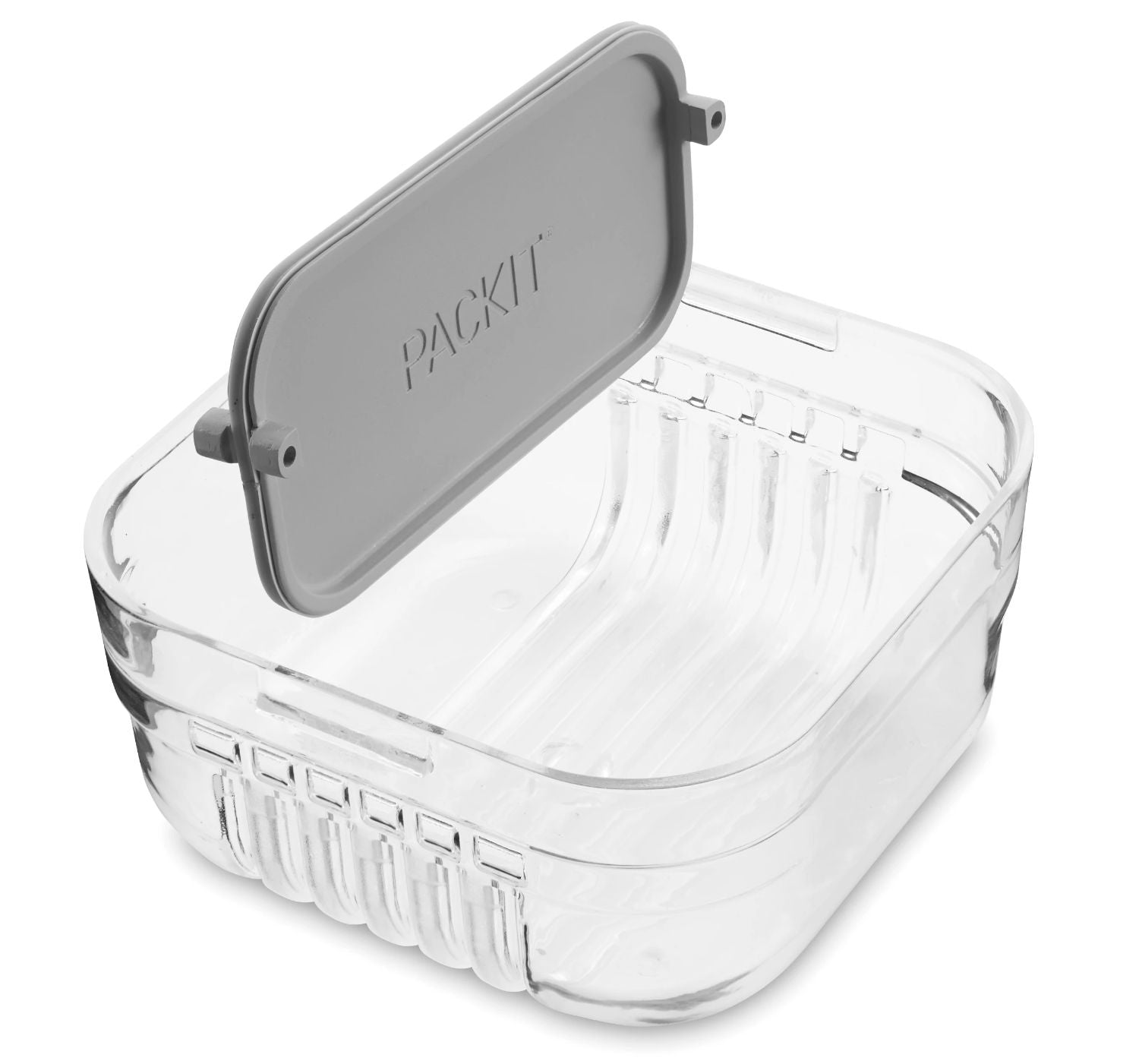 Packit Mod Bento Container Snack Box (2 Colours) - Pupsik Singapore