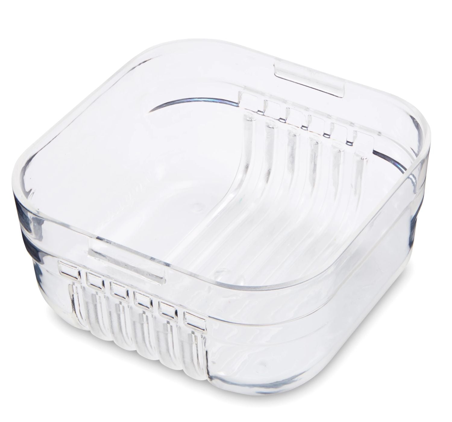 Packit Mod Bento Container Snack Box (2 Colours) - Pupsik Singapore