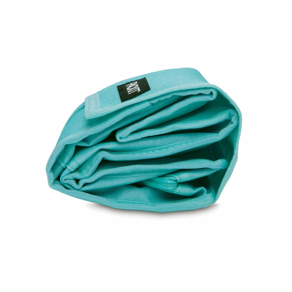 PackIt Freezable Lunch Bag (6 Designs) - Pupsik Singapore