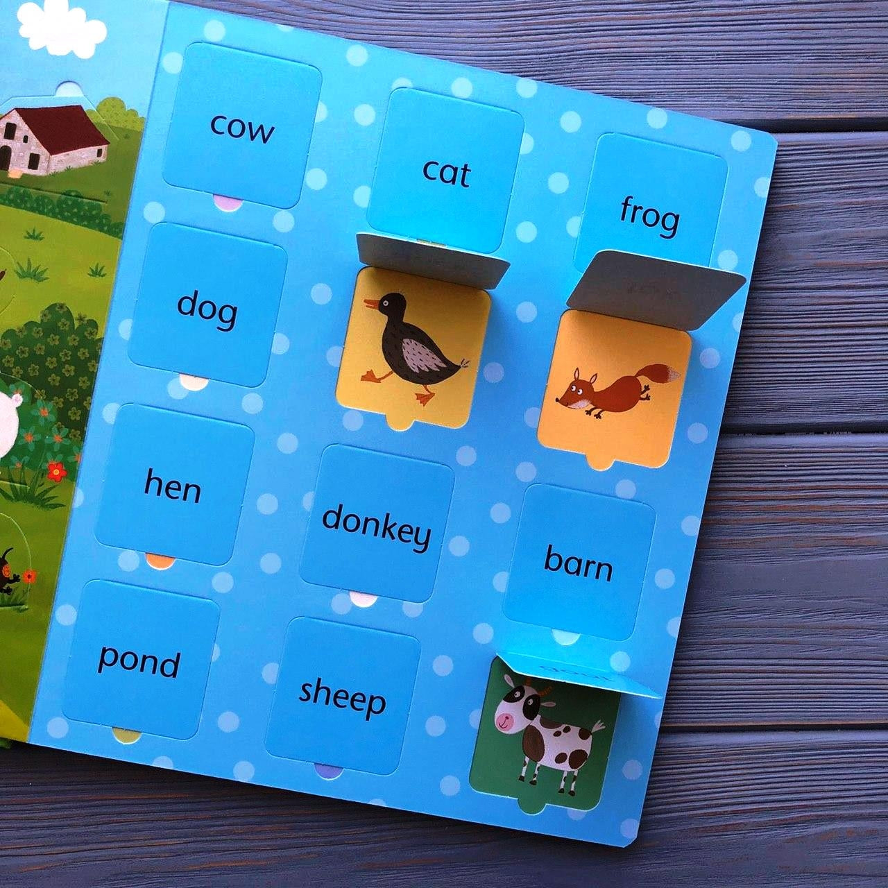 Usborne Lift-the-Flap Board Book Series - Age: 2+ (Multiple Titles) - Pupsik Singapore