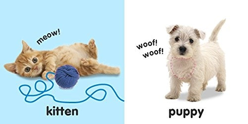 Baby Touch and Feel: Animals Board Book