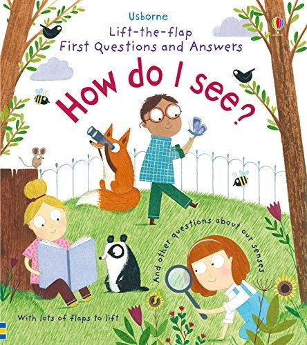 Usborne Lift-the-flap First Questions and Answers Board Book (2 Titles)