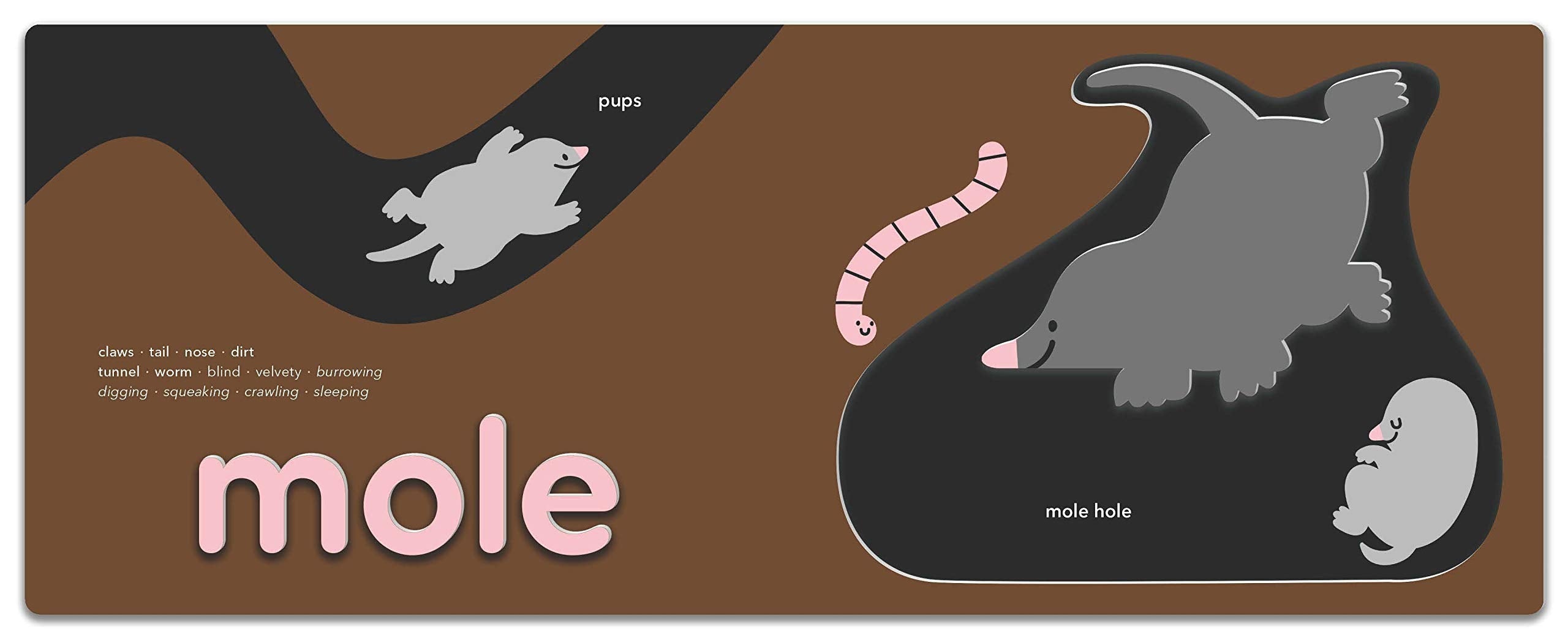 TouchWords: Animals Children's Book