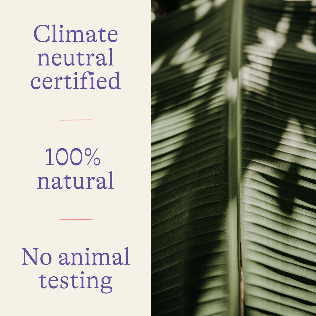 Lansinoh HPA Lanolin Nipple Cream, 3 x 7ml (Minis)