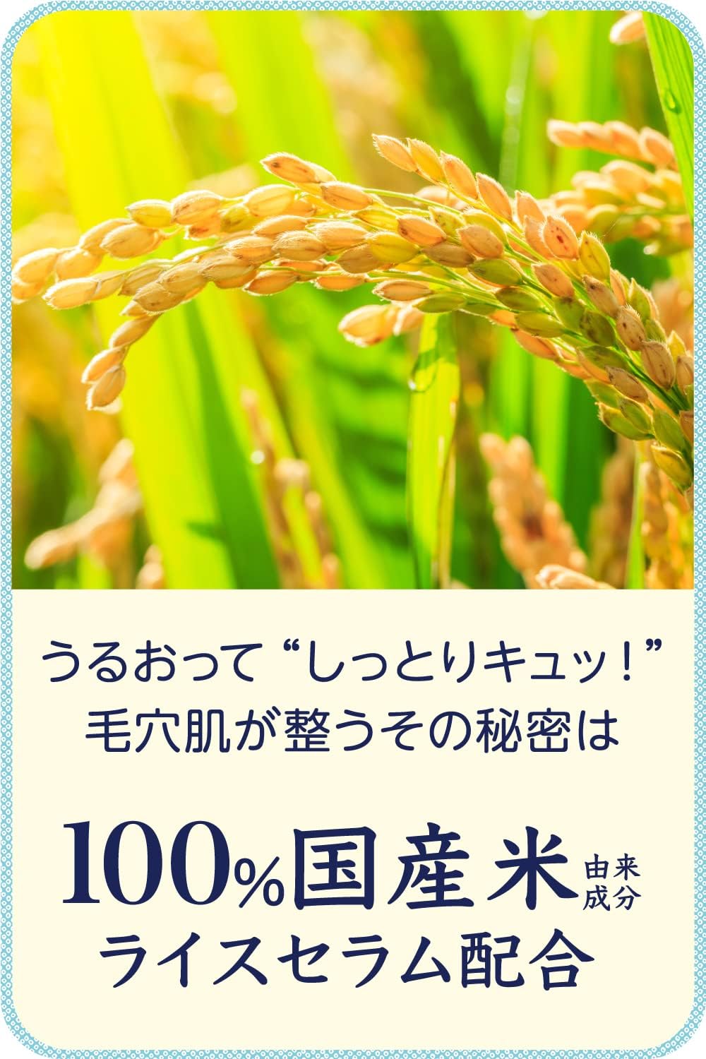 Ishizawa Lab Keana Nadeshiko Rice Facial Mask, 10 Sheets (Exp 06/28) | Japan Rice Mask