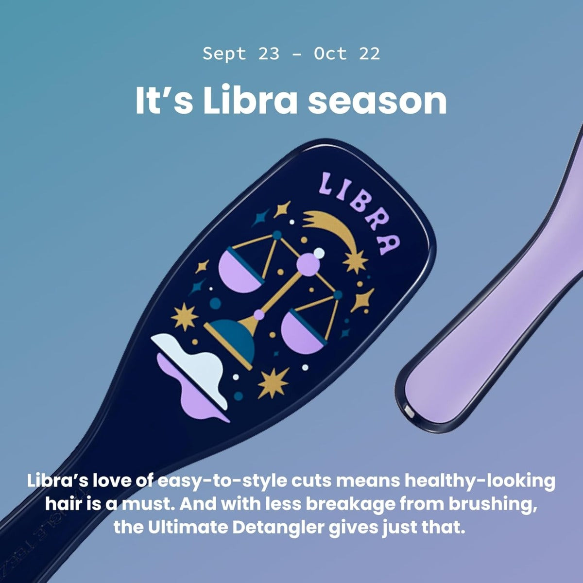 Tangle Teezer The Ultimate Detangler Regular Hairbrush, Straight & Curly (29 Colours) - Pupsik Singapore