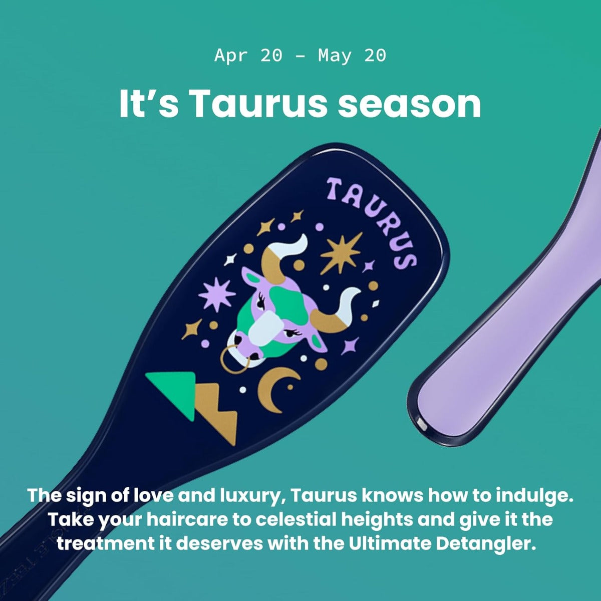 Tangle Teezer The Ultimate Detangler Regular Hairbrush, Straight & Curly (29 Colours) - Pupsik Singapore