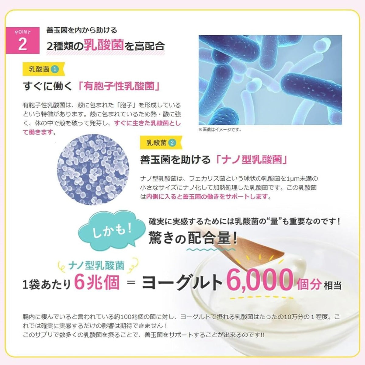 Shinya Koso Bodymake Daily Morning Digestion Enzyme, 150 Capsules/30 Servings (Exp 10/27)