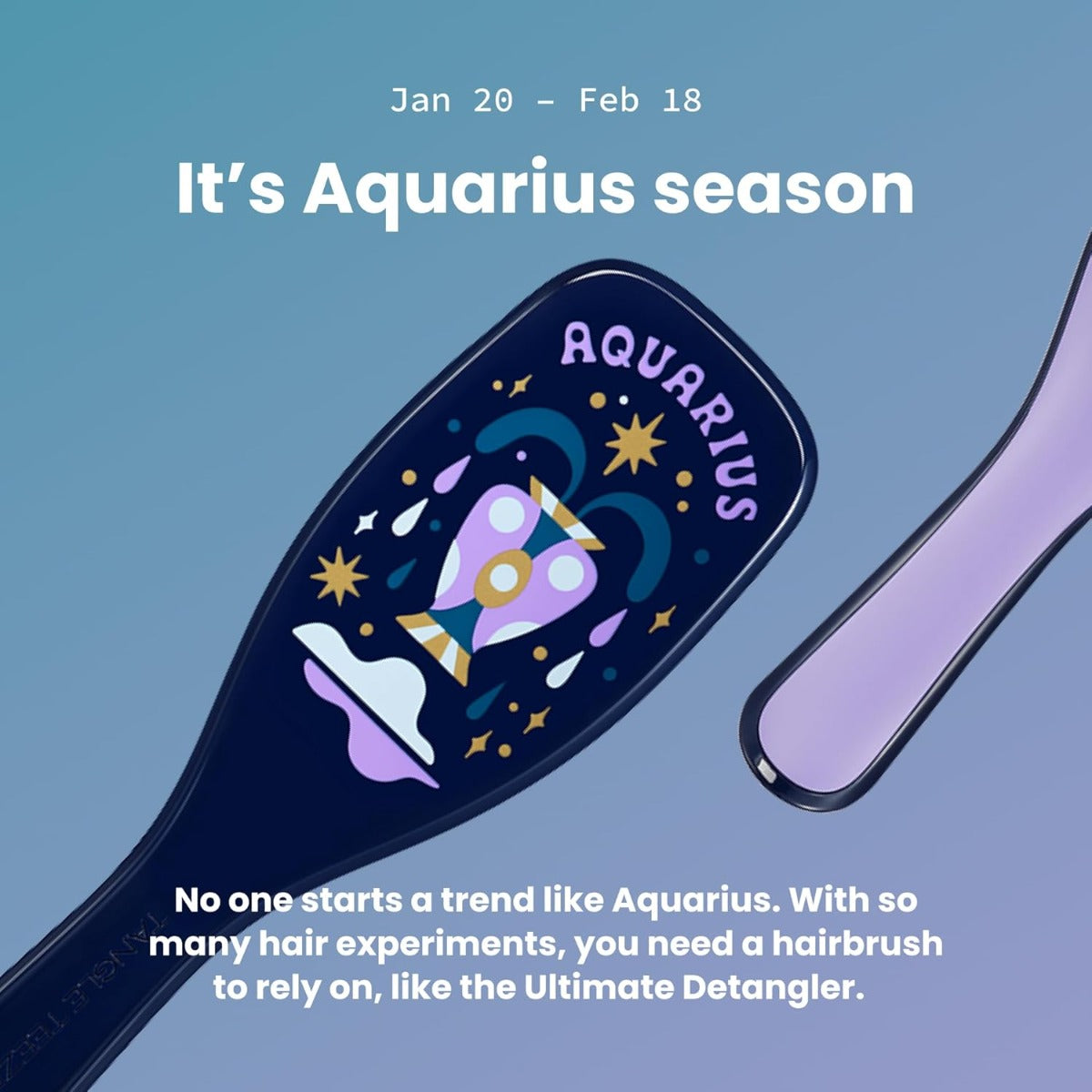 Tangle Teezer The Ultimate Detangler Regular Hairbrush, Straight & Curly (29 Colours) - Pupsik Singapore