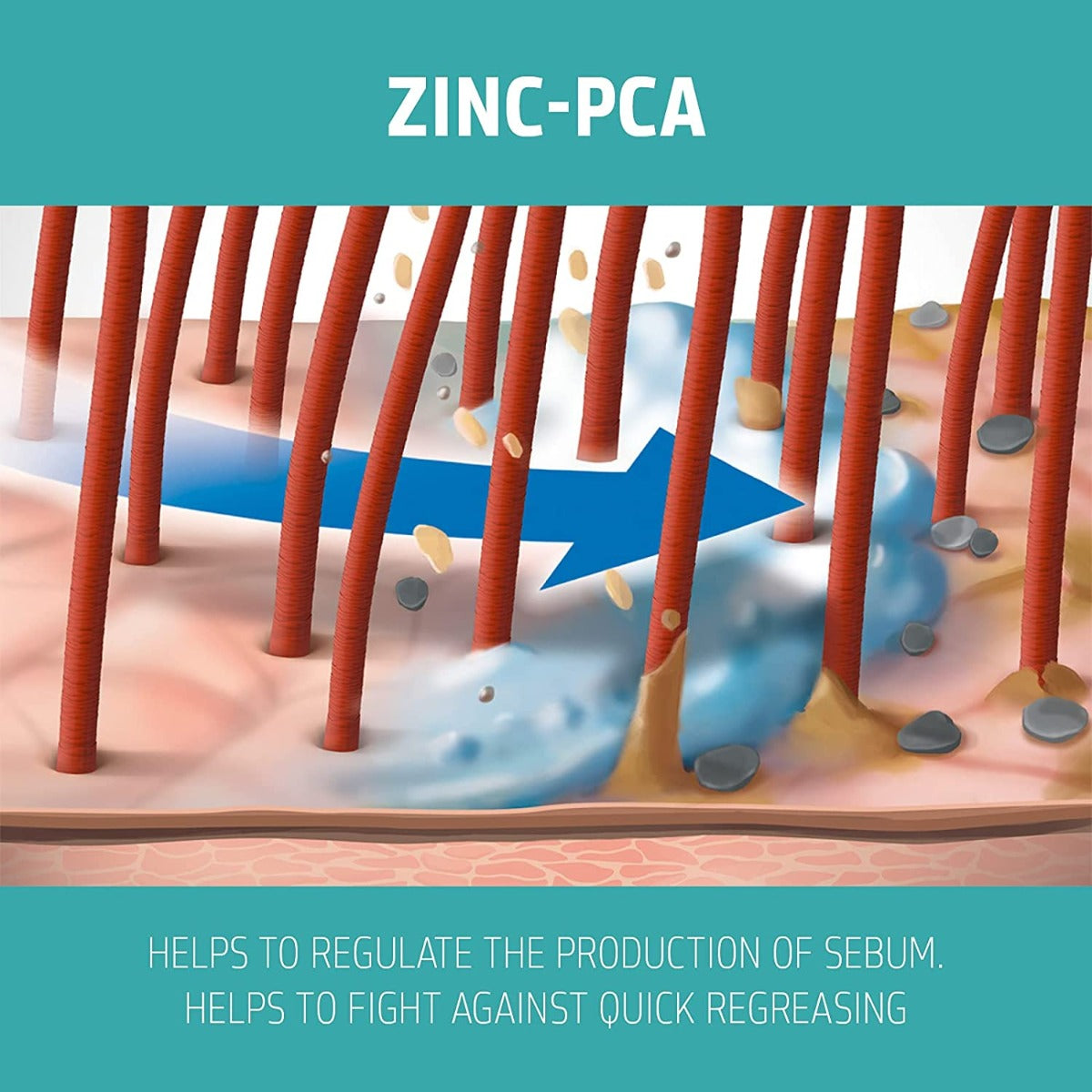 Goldwell DualSenses Scalp Specialist Deep Cleansing Shampoo, 1L - Exp 08/26