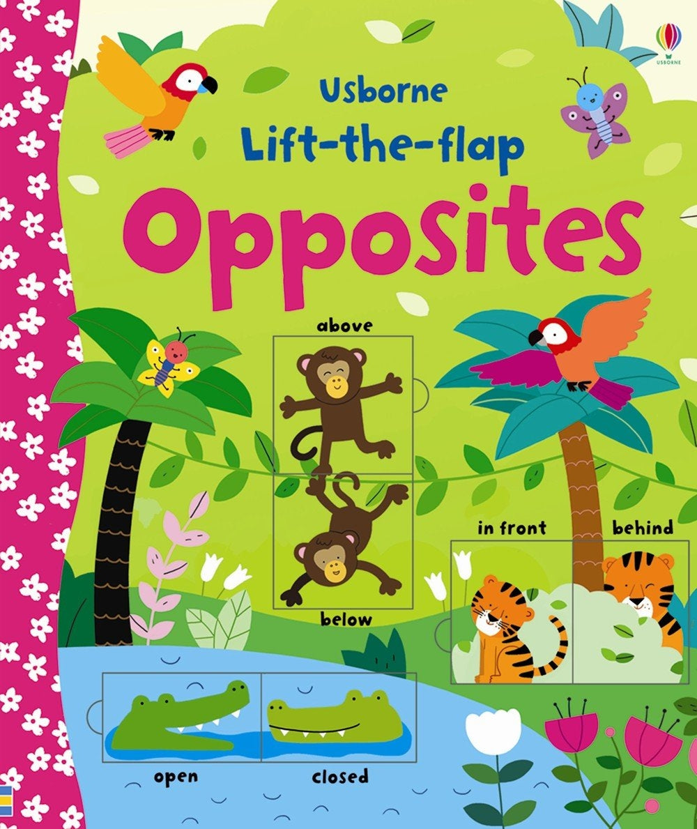 Usborne Lift-the-Flap Board Book Series - Age: 3+ (5 Titles) - Pupsik Singapore