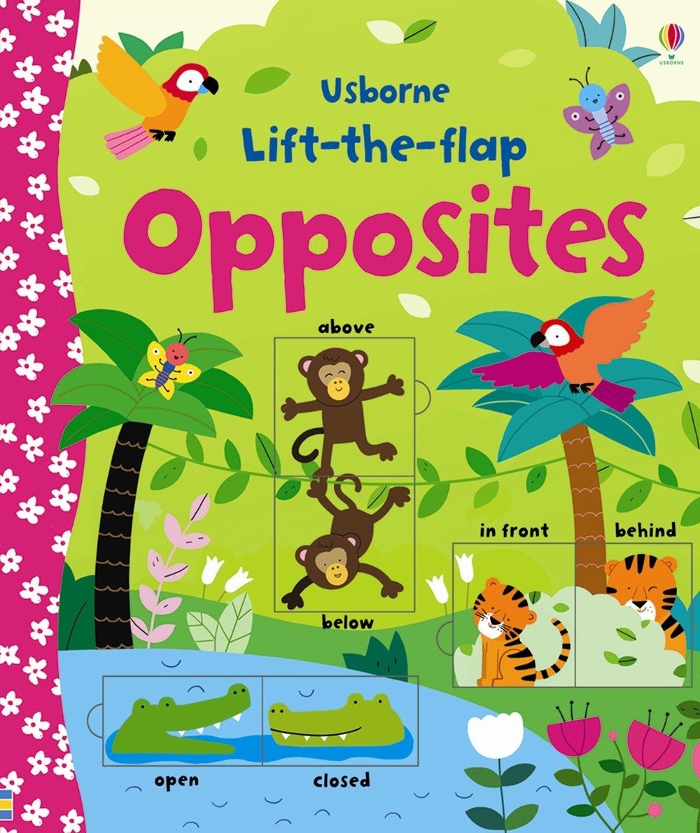 Usborne Lift-the-Flap Board Book Series - Age: 3+ (5 Titles)