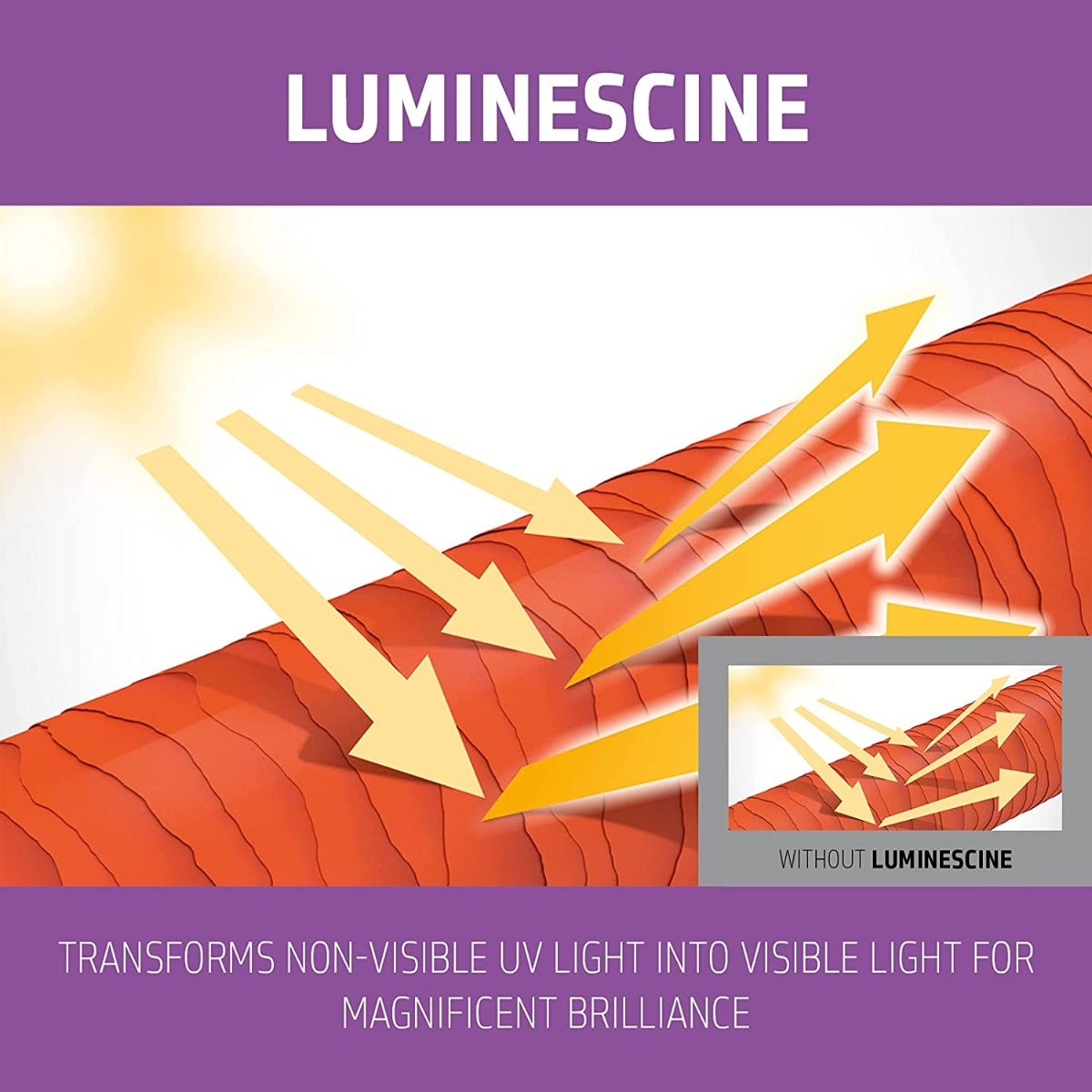 Goldwell DualSenses Blondes and Highlights Anti-Yellow Conditioner, 1L - Exp 08/26