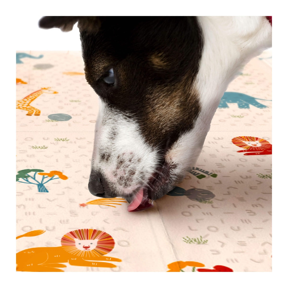 Oribel PurePlay Antibac Foldable Playmat - 150 x 200cm (2 Designs) - Pupsik Singapore