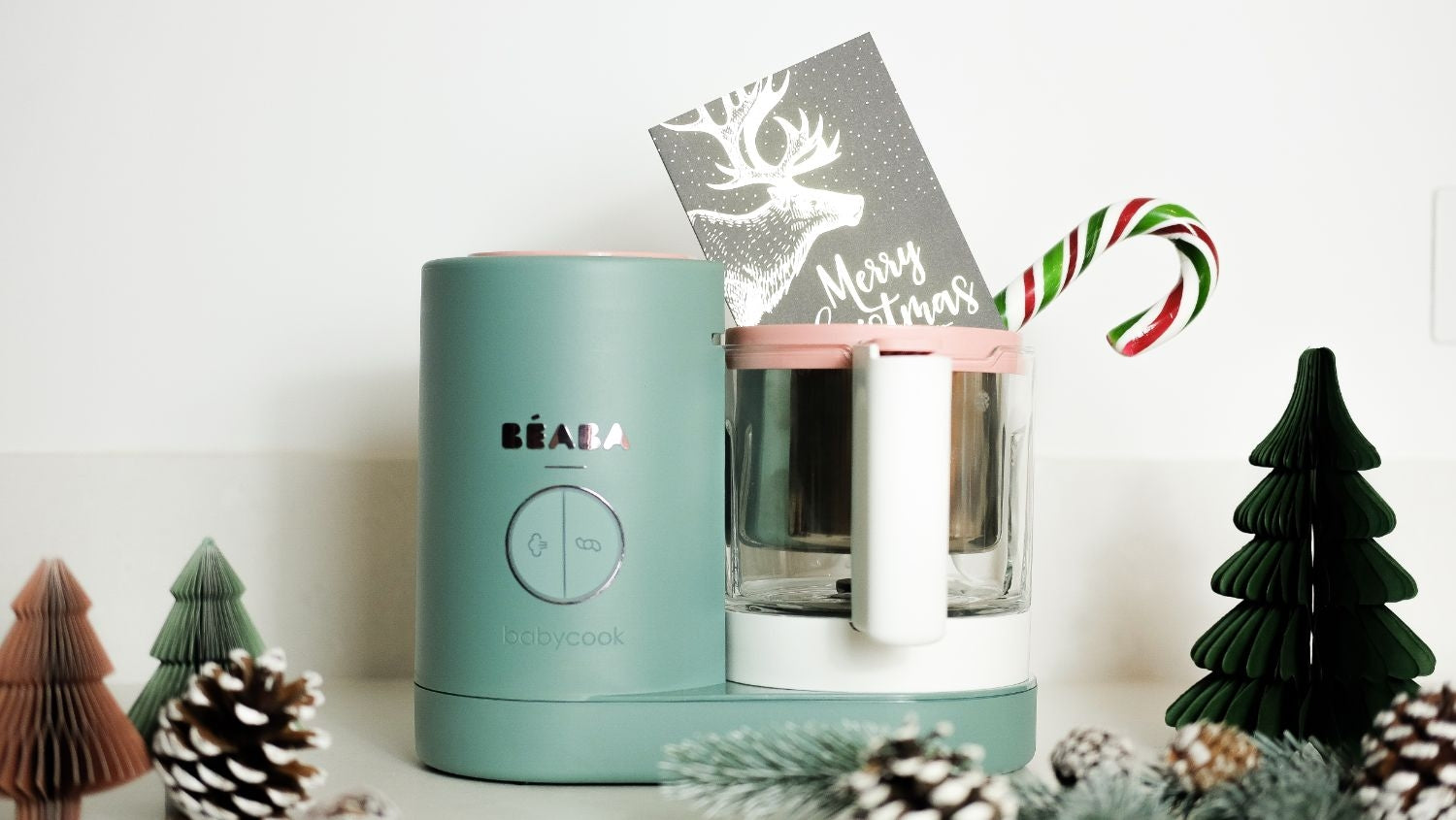 Beaba Babycook Neo Baby Food Maker (4 Colours) - Pupsik Singapore