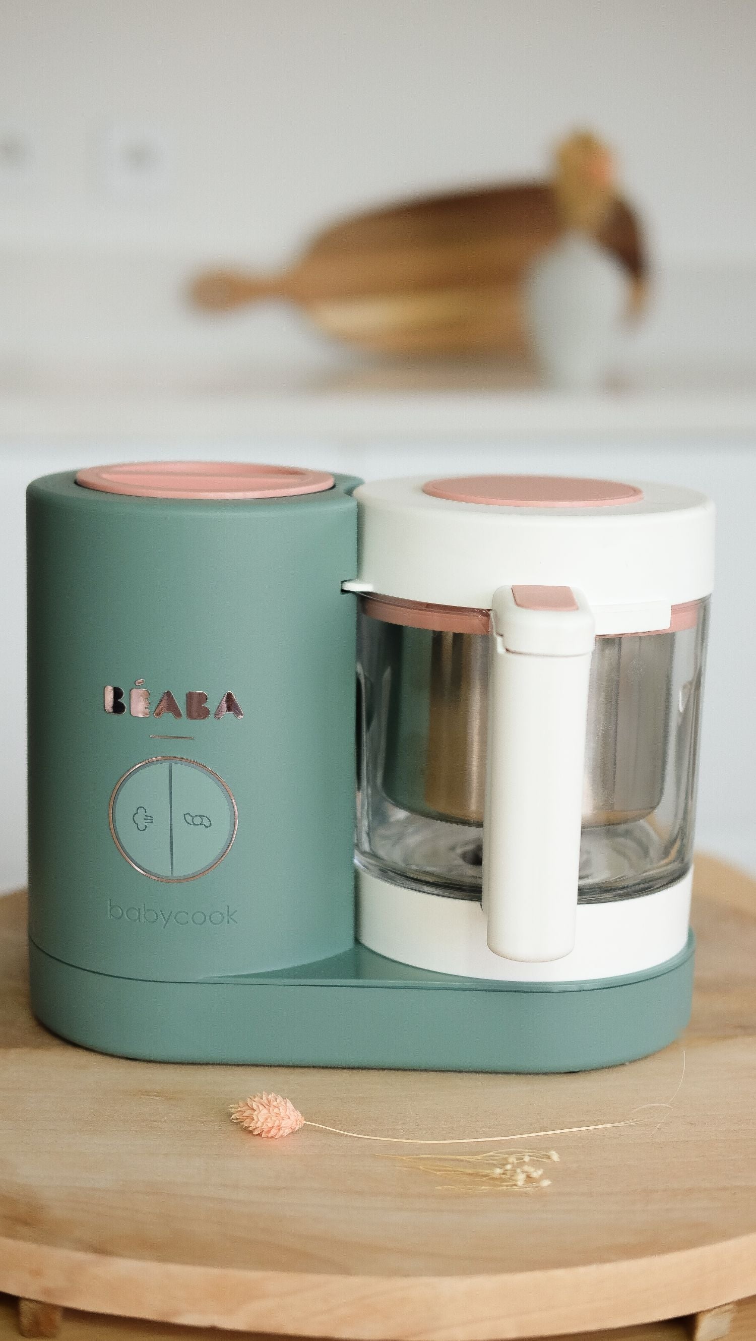Beaba Babycook Neo Baby Food Maker (4 Colours) - Pupsik Singapore