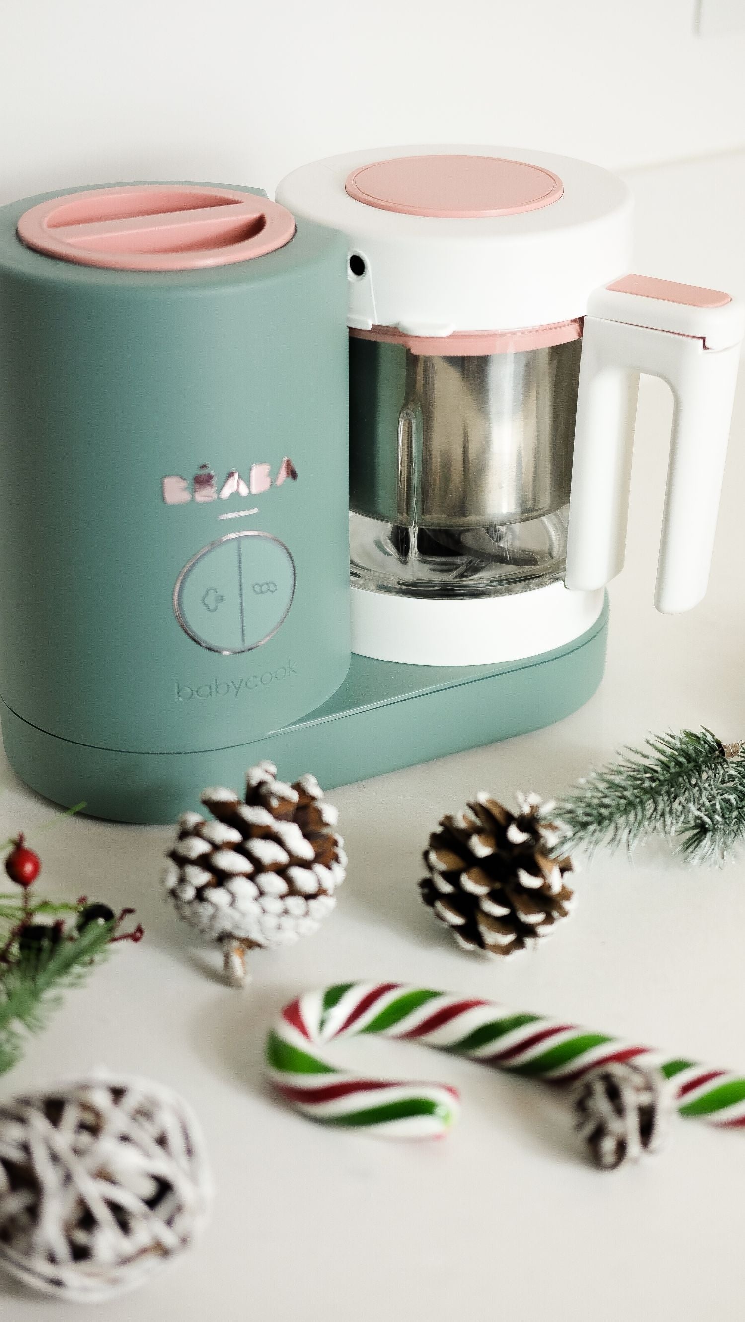 Beaba Babycook Neo Baby Food Maker (4 Colours) - Pupsik Singapore