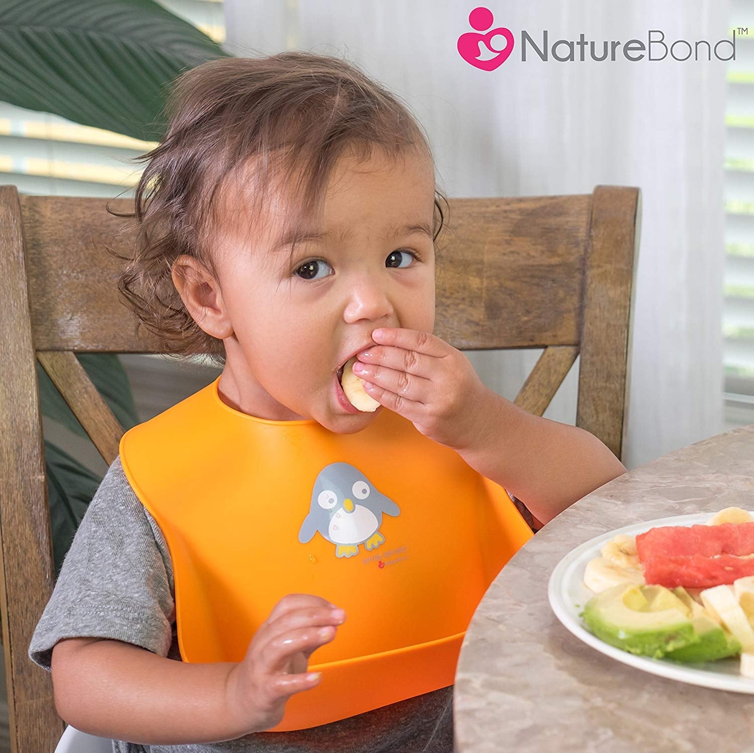 NatureBond Waterproof Silicone Baby Bib, 2pk (2 Colours)