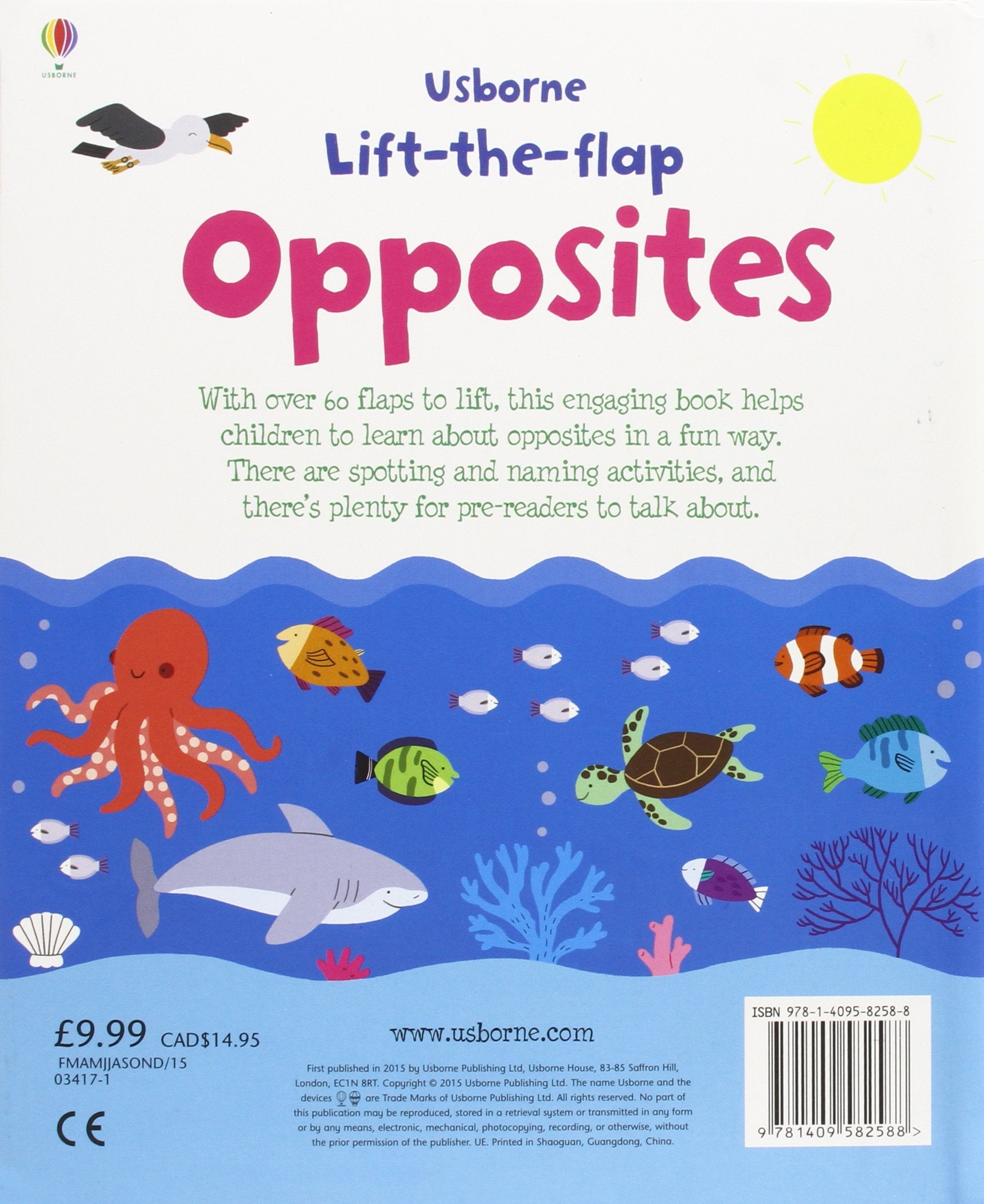 Usborne Lift-the-Flap Board Book Series - Age: 3+ (5 Titles) - Pupsik Singapore