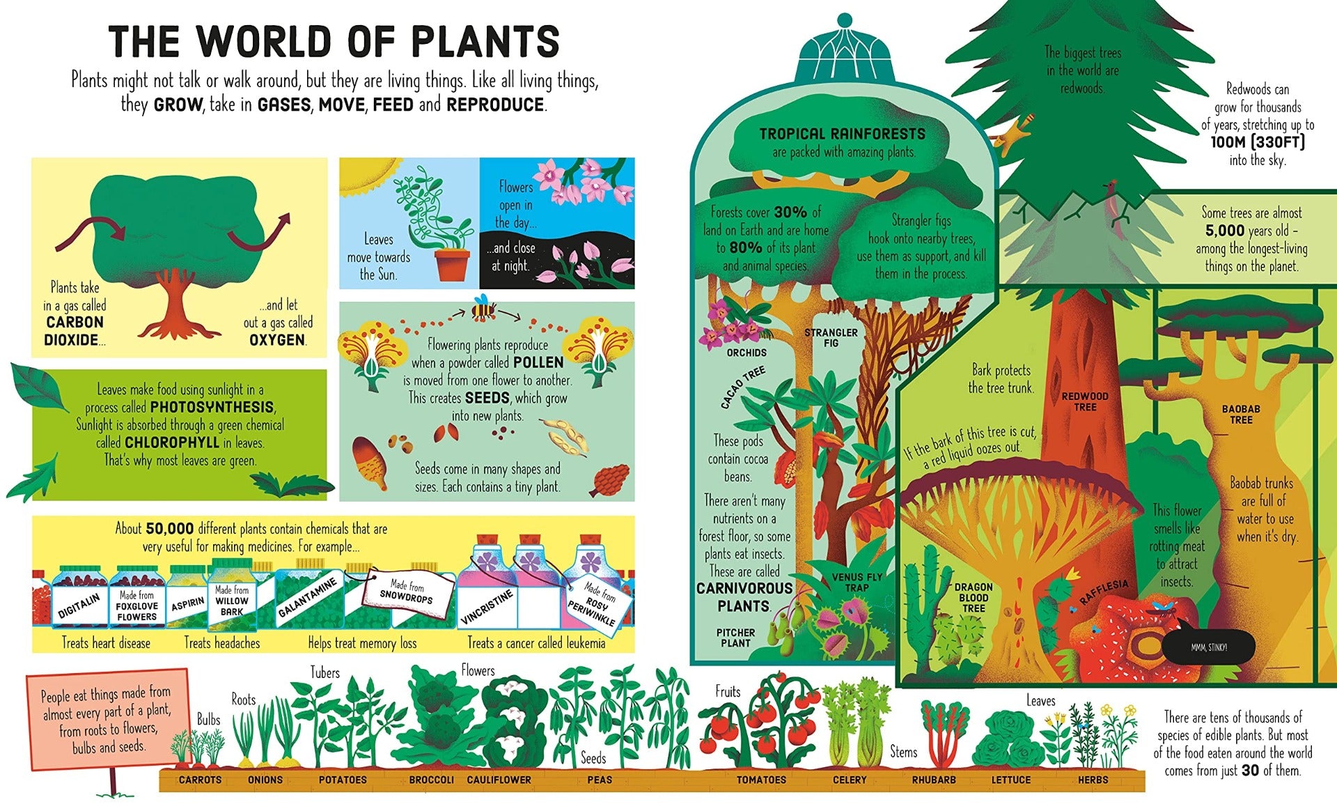 Usborne Book & Jigsaw (300pc) Set - Tree of Life - Pupsik Singapore
