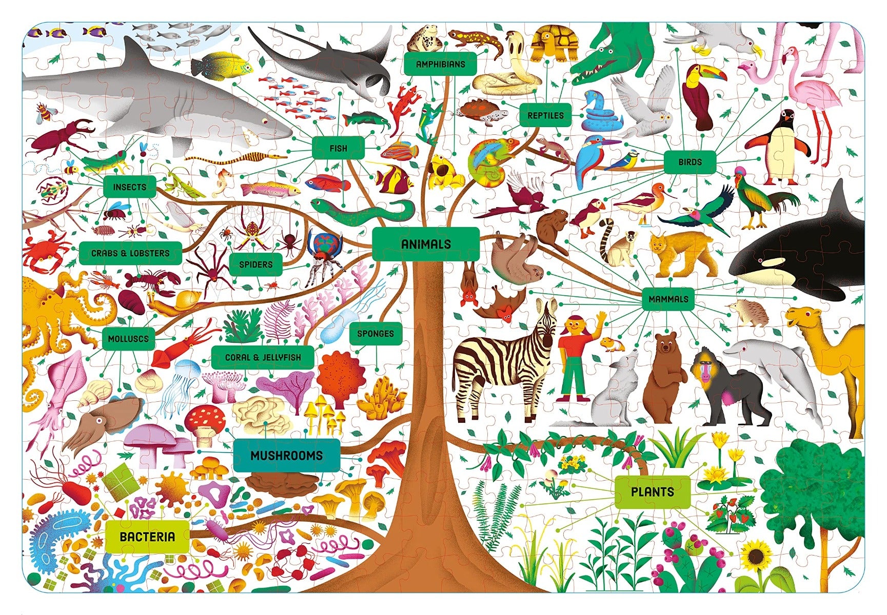 Usborne Book & Jigsaw (300pc) Set - Tree of Life - Pupsik Singapore