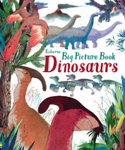 Usborne Big Picture Book - Dinosaurs