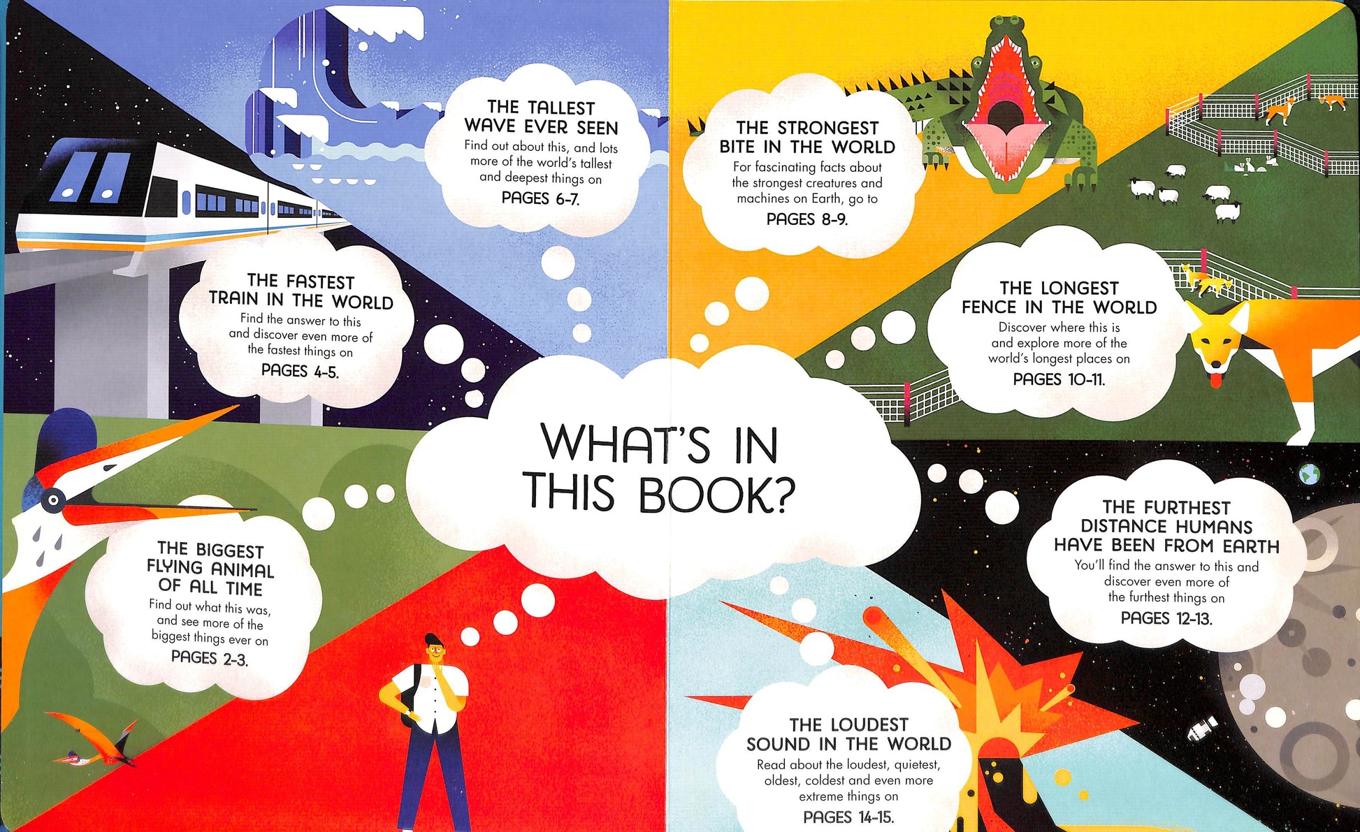 Usborne Lift-the-Flap Board Book Series - Age: 6+ (4 Titles) - Pupsik Singapore