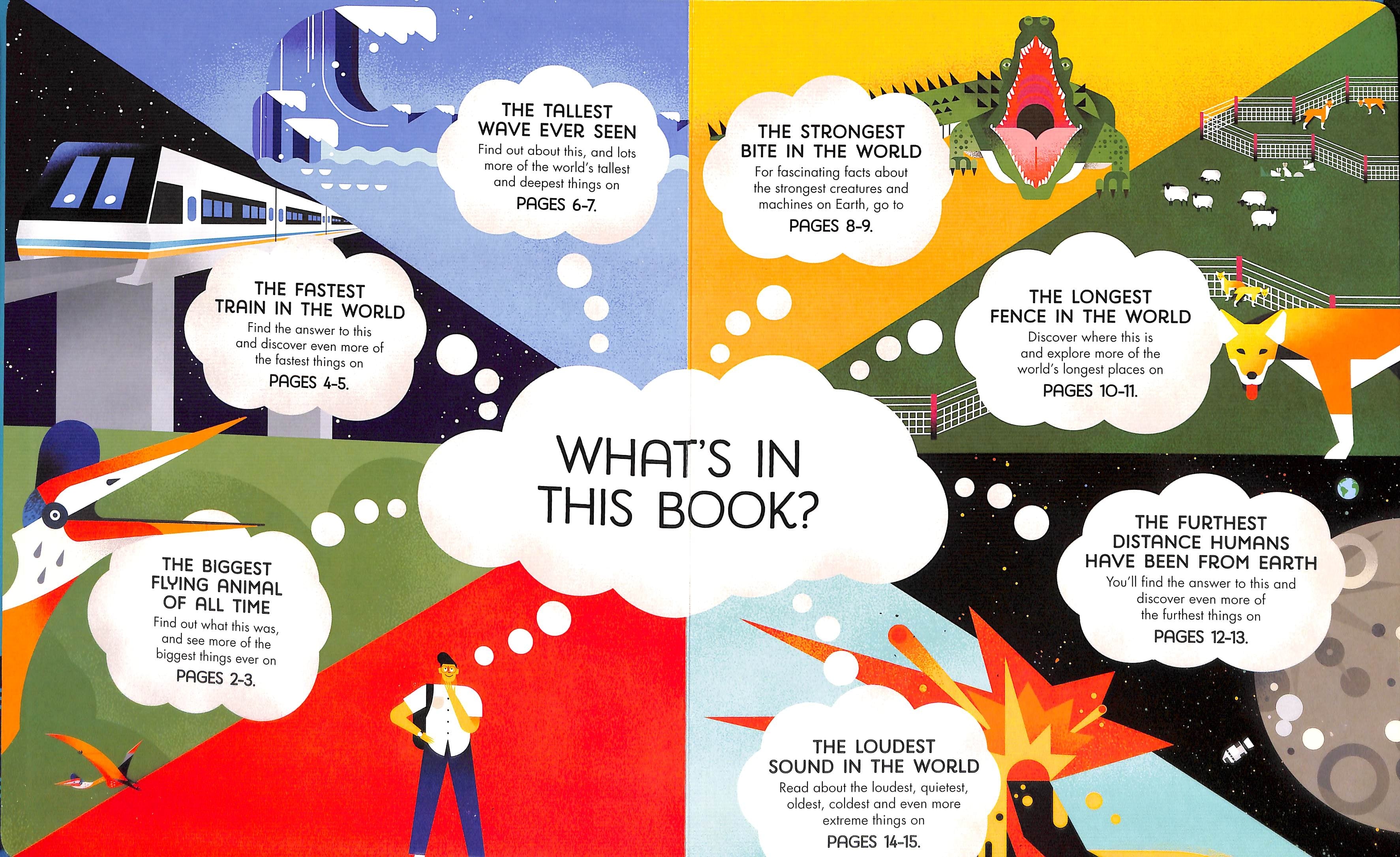 Usborne Lift-the-Flap Board Book Series - Age: 6+ (4 Titles) - Pupsik Singapore