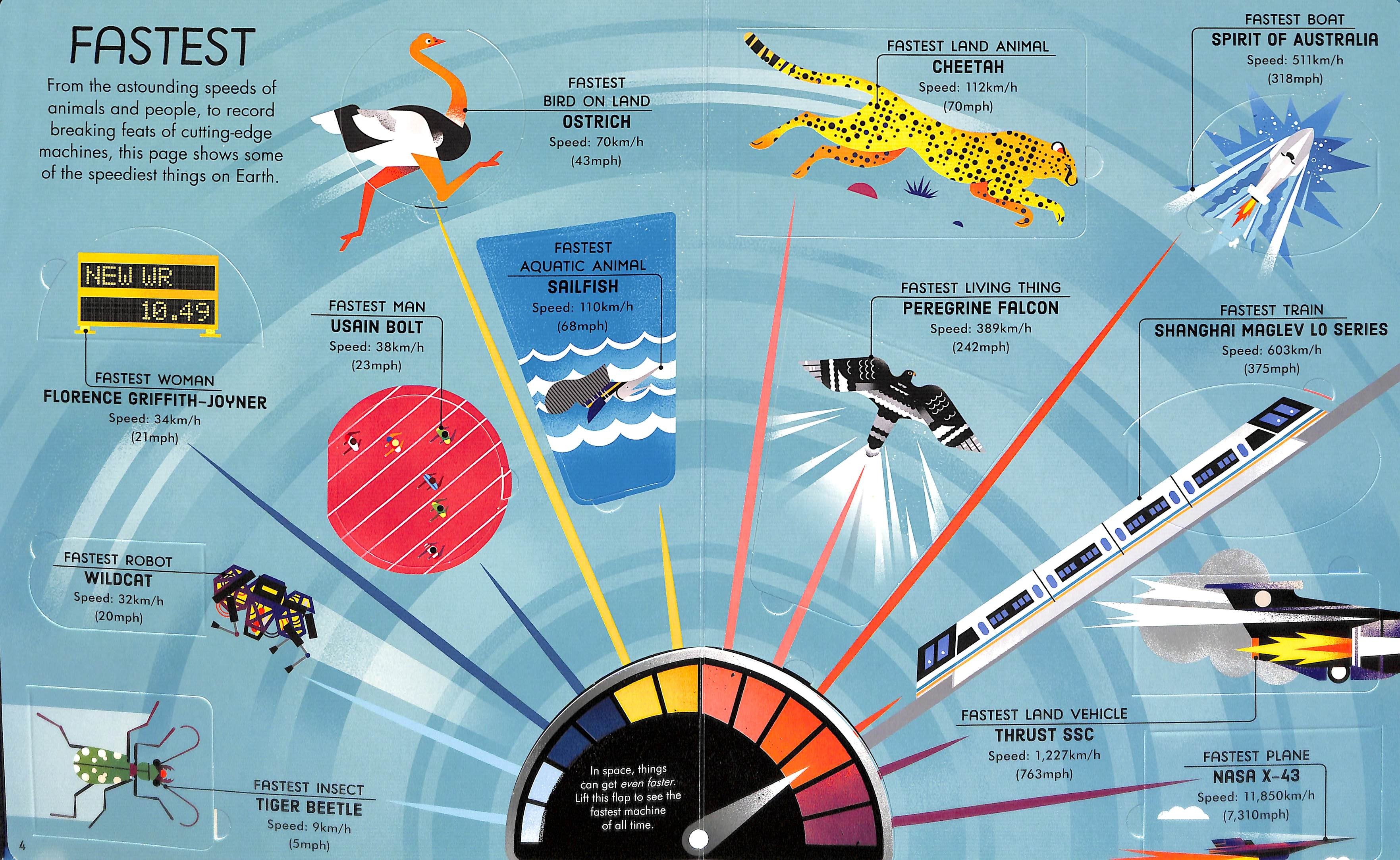 Usborne Lift-the-Flap Board Book Series - Age: 6+ (4 Titles) - Pupsik Singapore