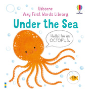 Usborne Baby's Very First Words Book (2 Titles)