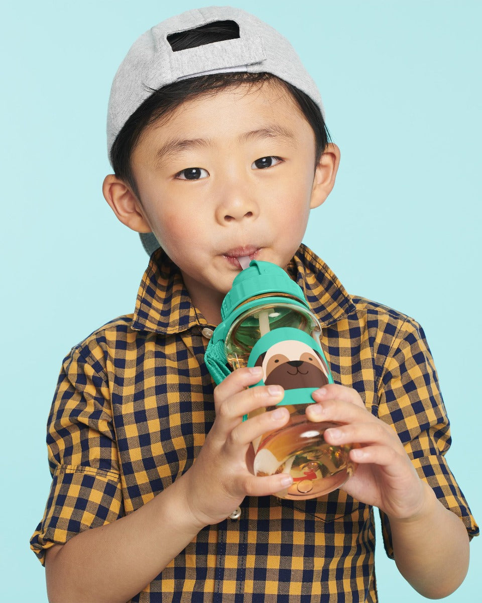 Skip Hop Zoo Straw Water Bottle, 13oz (12 Designs)