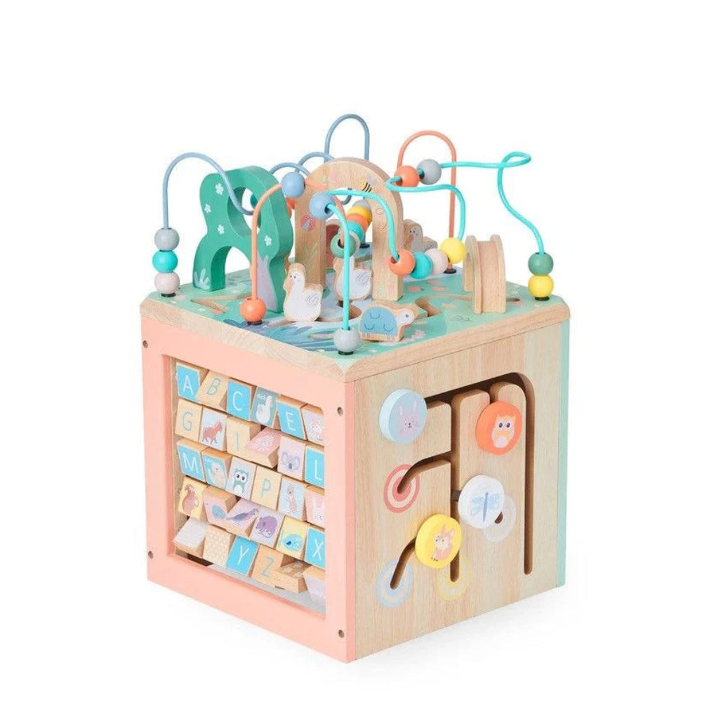 Bubble Wooden Activity Centre