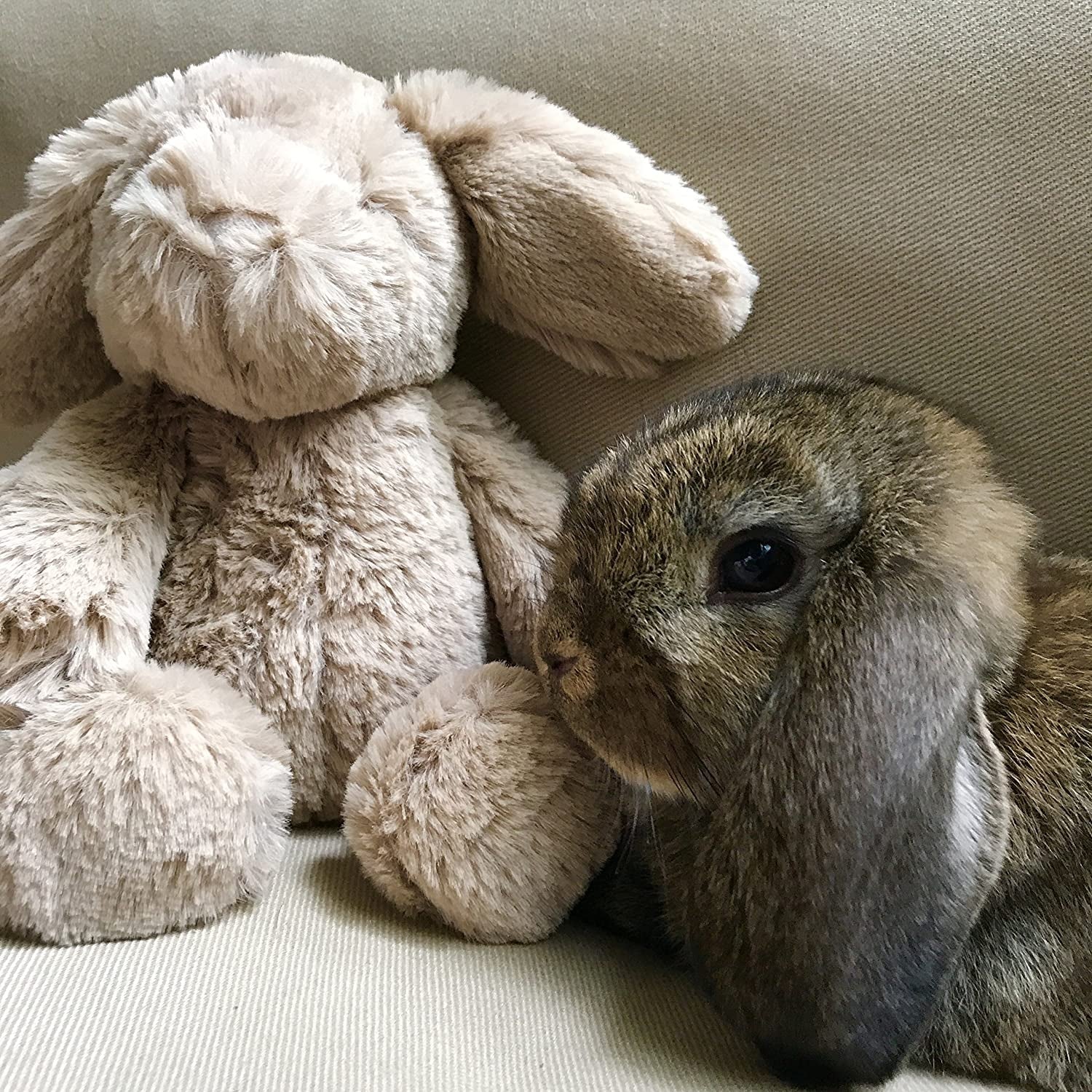 Manhattan Toy Lovelies Latte Bunny Medium Soft Toy (19cm)