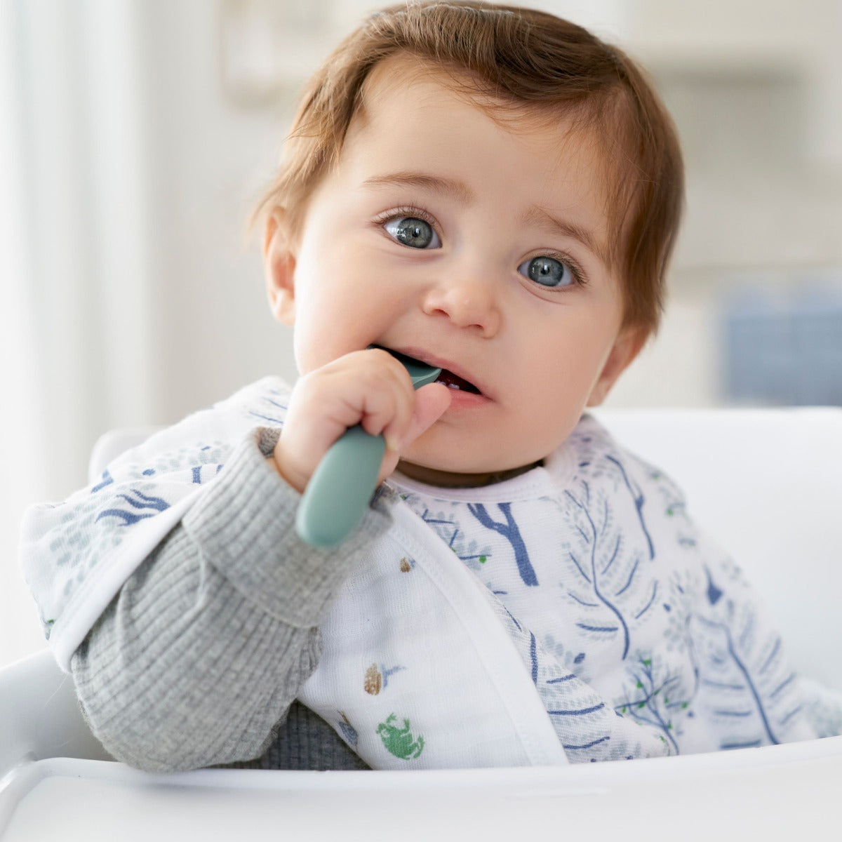 Aden Anais Organic Muslin Burpy Bibs, 2pk