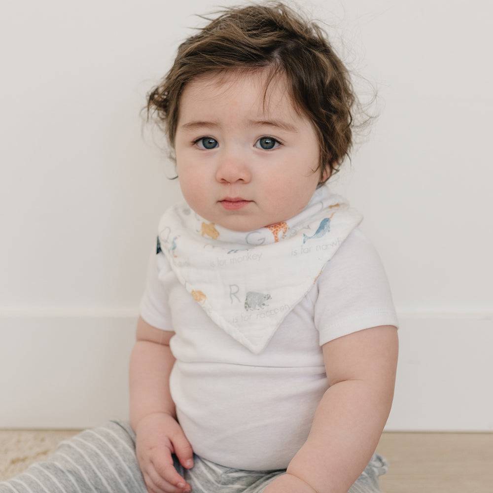 Bebe Au Lait Oh-So-Soft Muslin Bandana Bib (14 Designs) - Pupsik Singapore