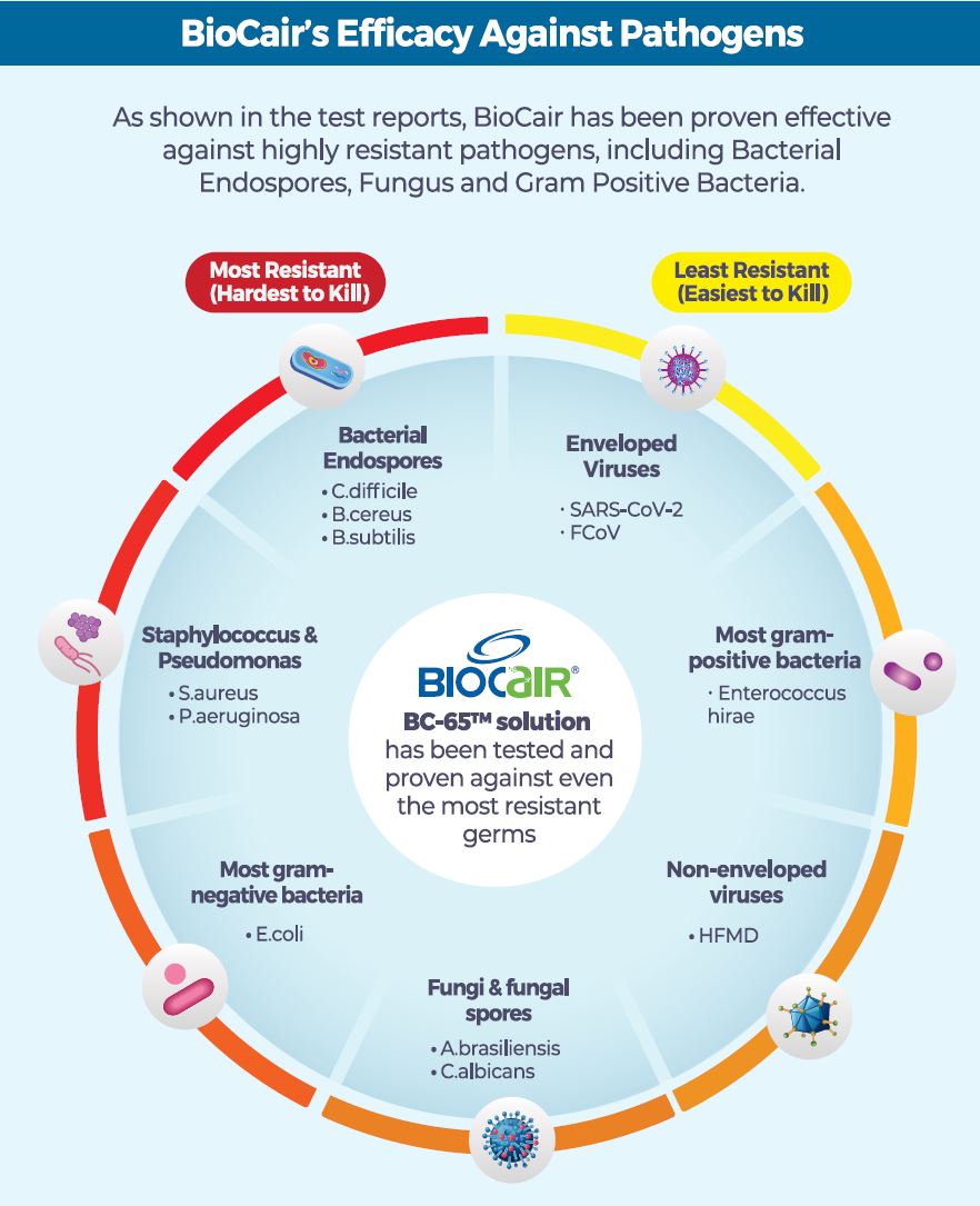 BioCair Classic 250 BioActive Anti HFMD Aerial Disinfection Bundle (Exp 05/26)