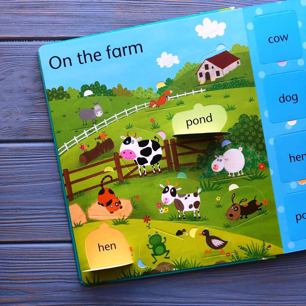 Usborne Lift-the-Flap Board Book Series - Age: 2+ (Multiple Titles)