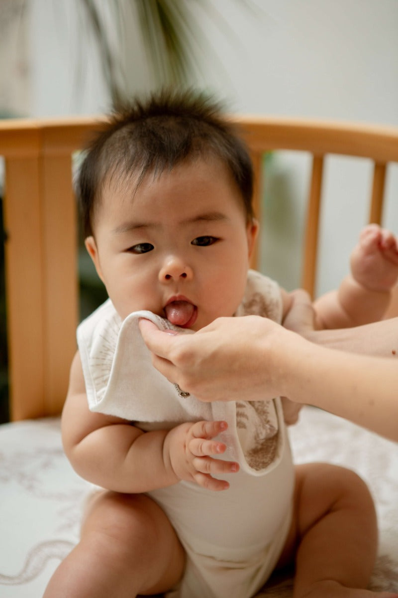 House of Holly Reversible Drool Bibs (14 Designs) - Pupsik Singapore