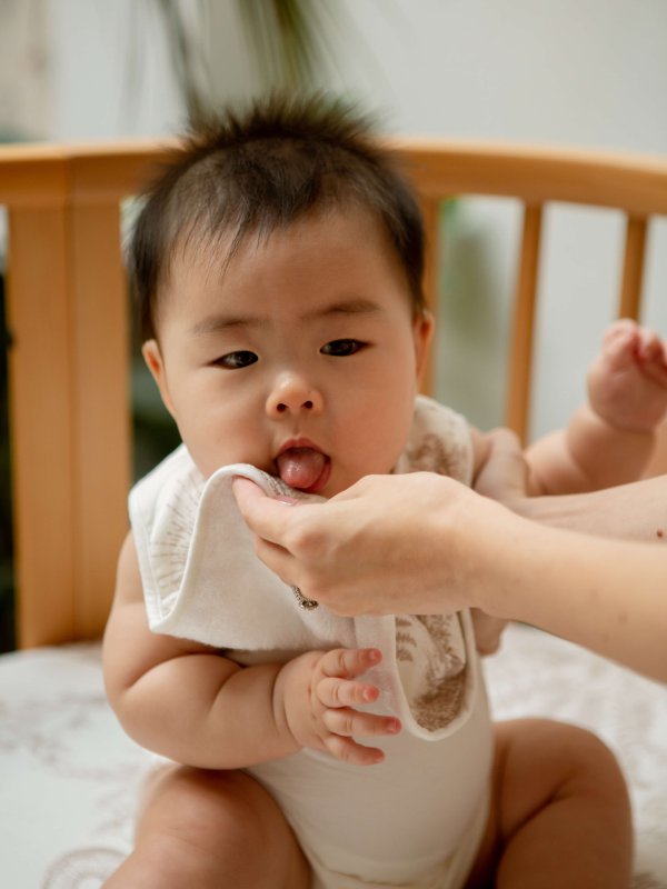 House of Holly Reversible Drool Bibs (17 Designs)