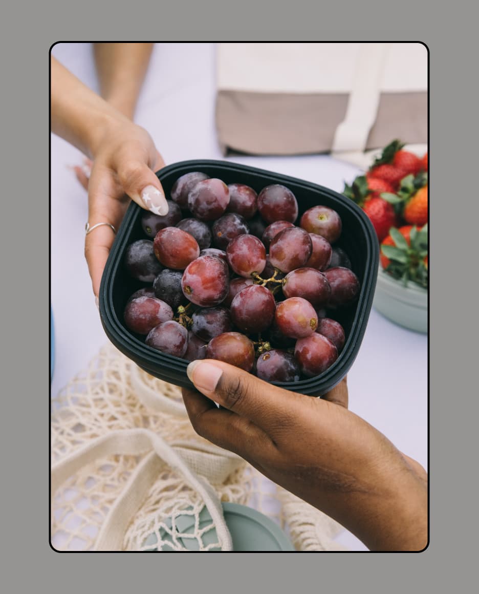 Stojo Silicone Collapsible Box, 24oz, 700ml (5 Colors) - Pupsik Singapore