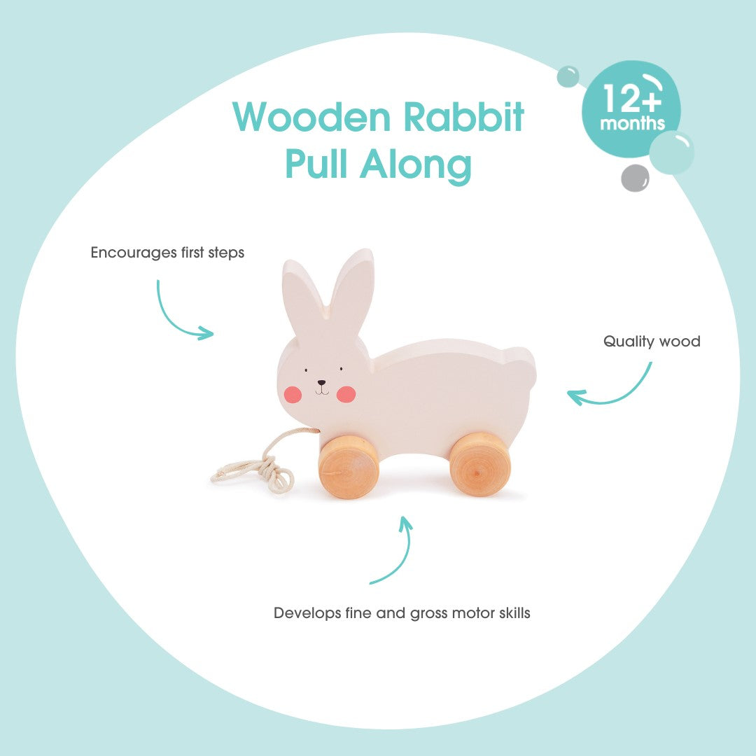 Bubble Wooden Rabbit Pull Along Toy