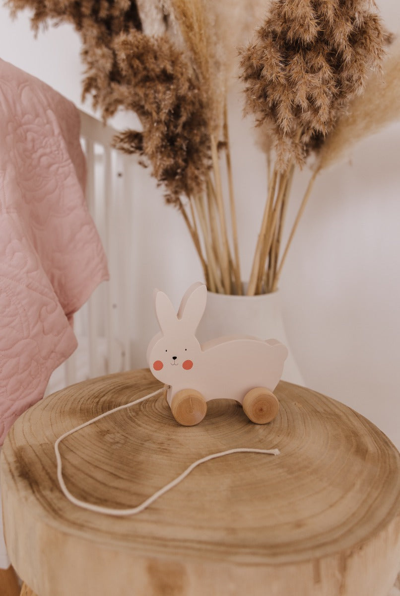 Bubble Wooden Rabbit Pull Along Toy