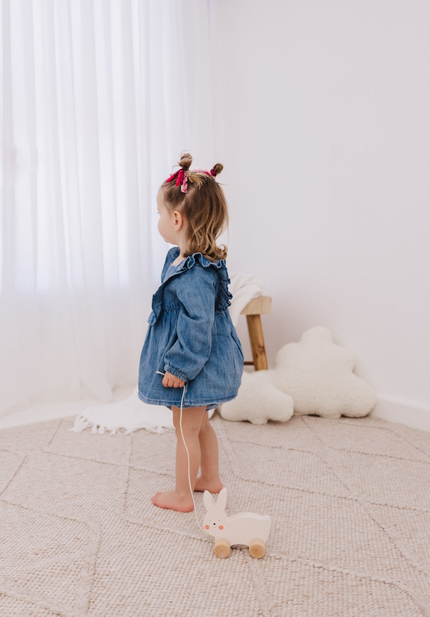 Bubble Wooden Rabbit Pull Along Toy