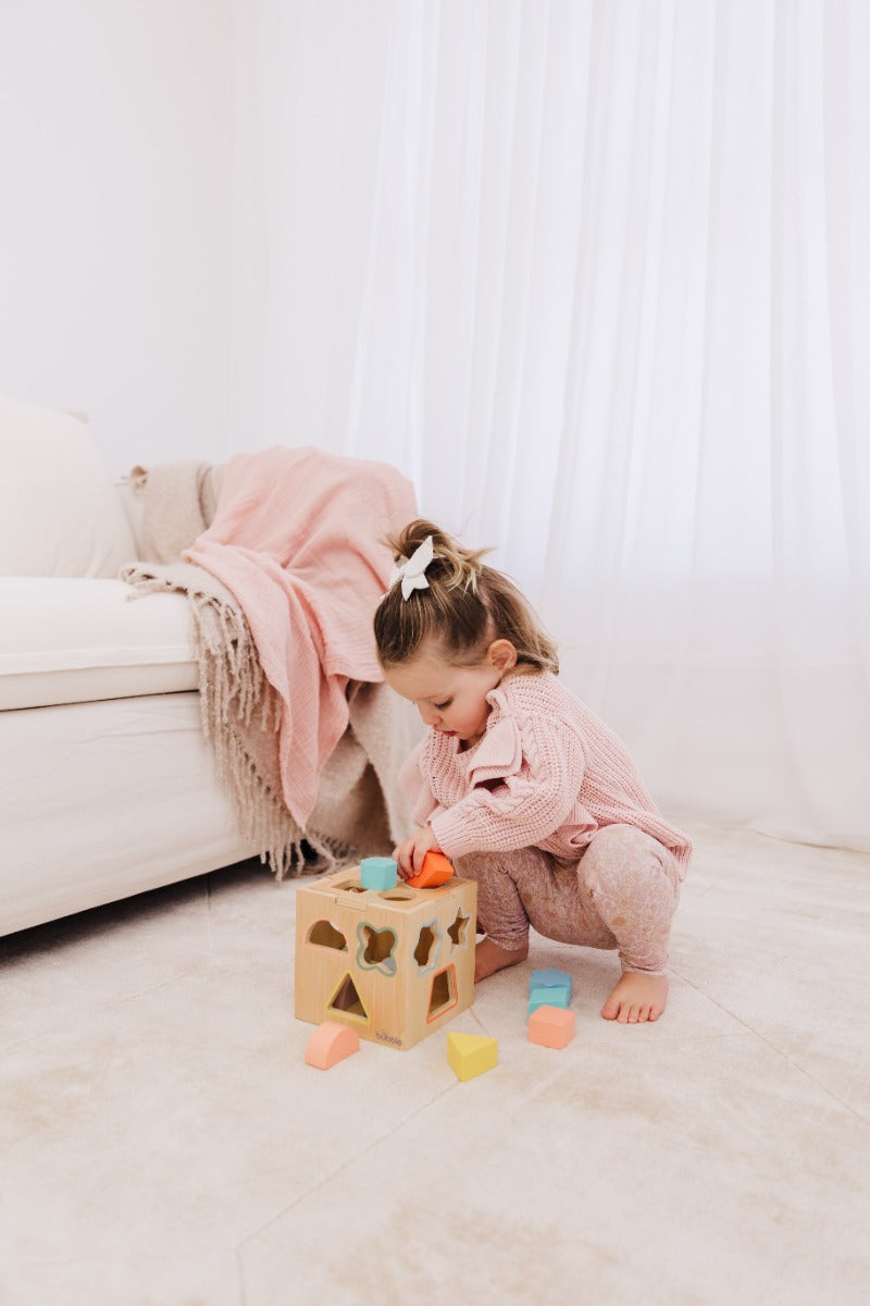 Bubble Wooden Shape Sorting Cube