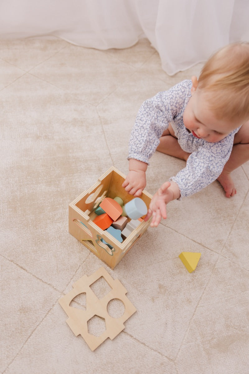 Bubble Wooden Shape Sorting Cube